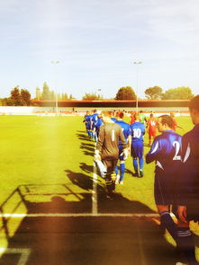 开云体育-2024年国际乒联混合团体世界杯:印度队表现大放异彩,2024年乒乓球世锦赛